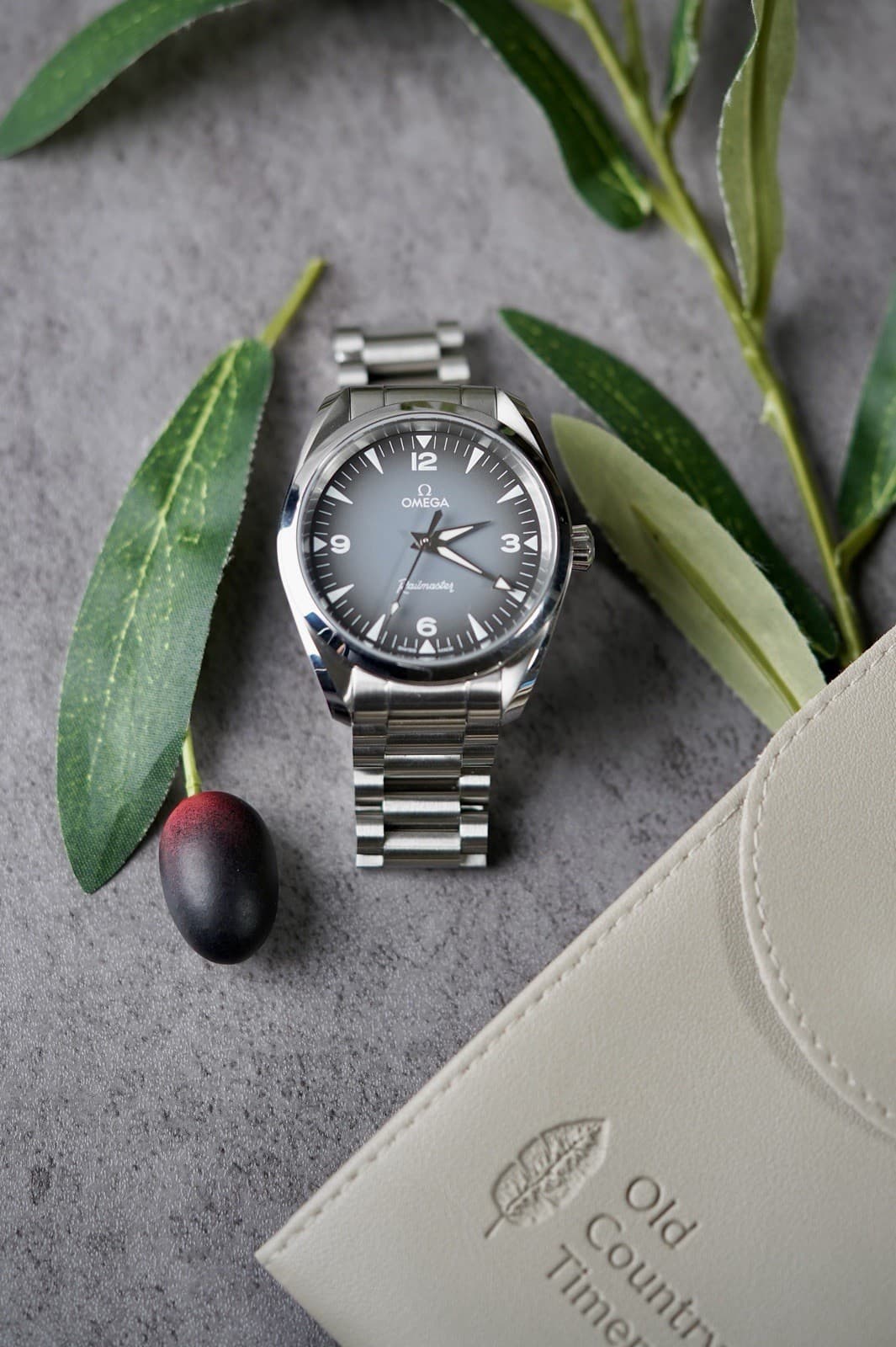 Omega Seamaster Railmaster Grey 38mm 235.12.38.20.06.001 2025 new Release