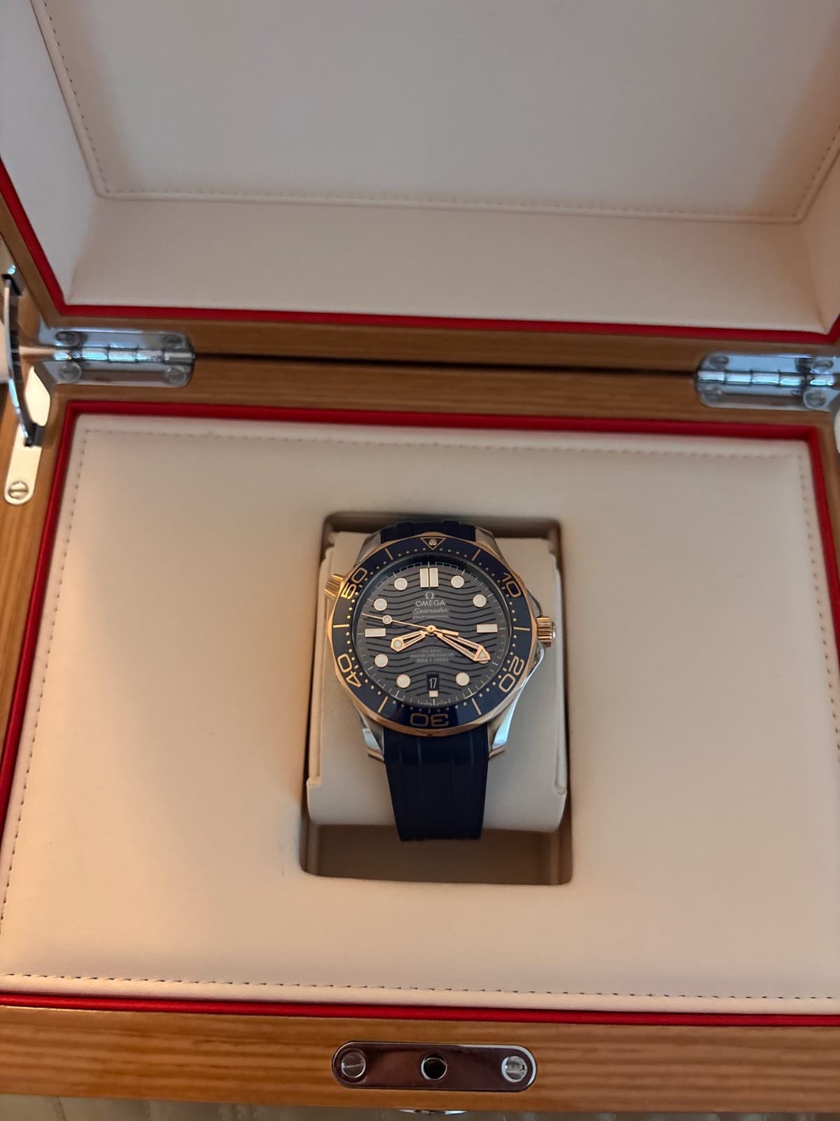 OMEGA Seamaster Diver 300M 210.22.42.20.03.002