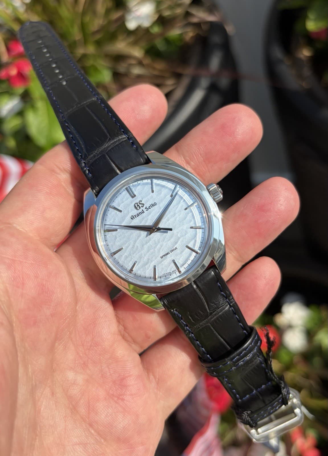Brand New Grand Seiko OMIWATARI SBGY007 Sold by PhillyWatchGuy