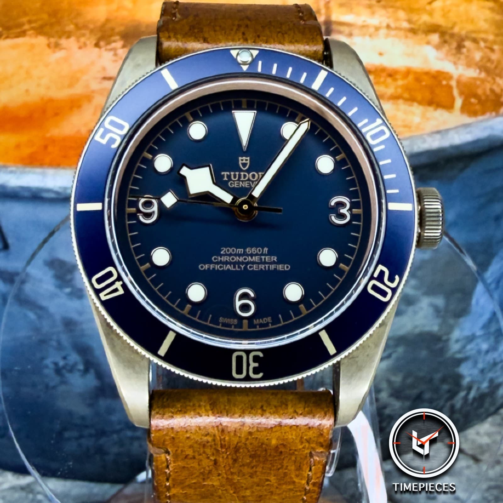 Tudor Heritage Black Bay Bucherer Special Edition Bronze Auto 43mm 79250BB