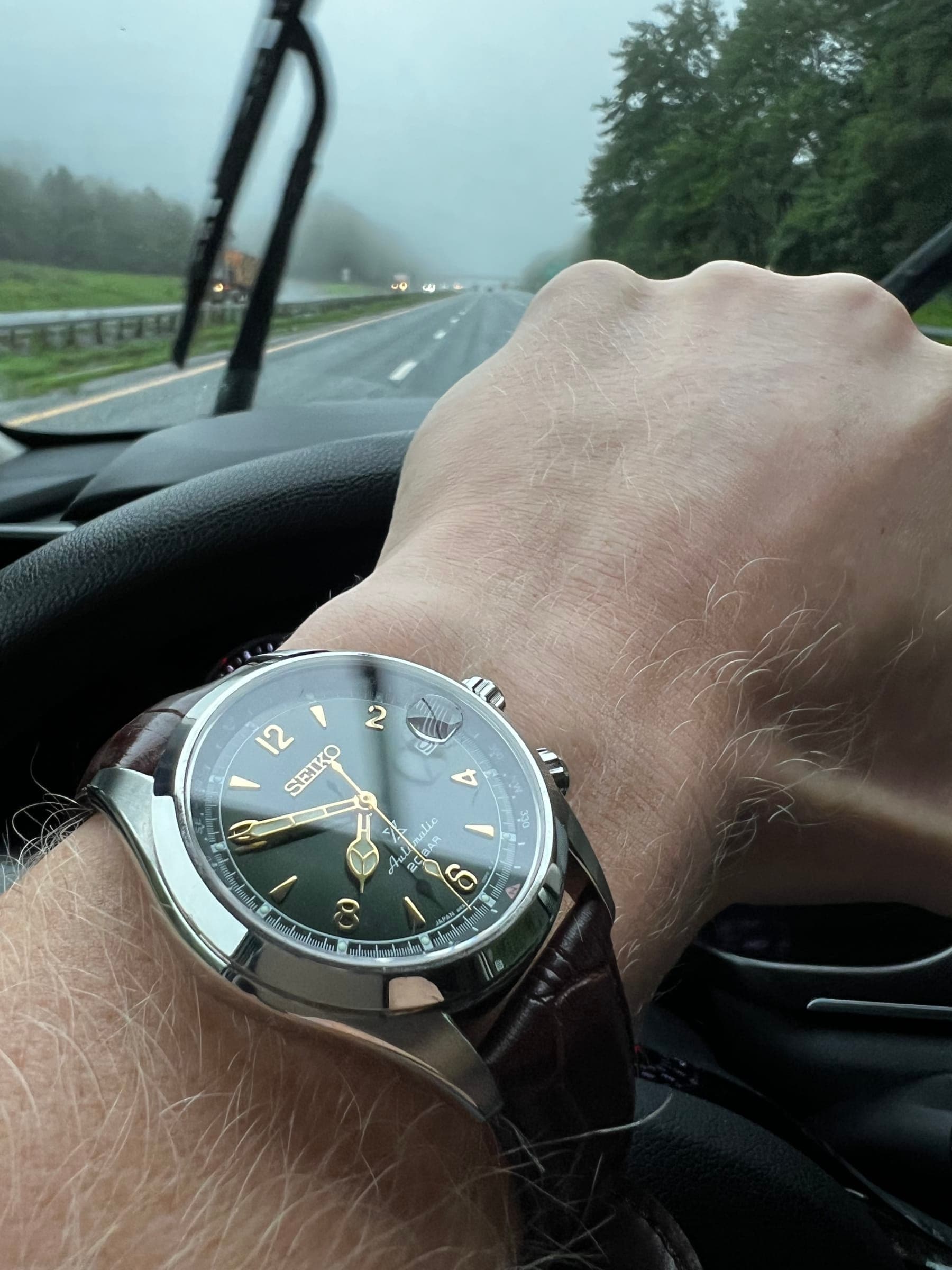 Seiko Alpinist