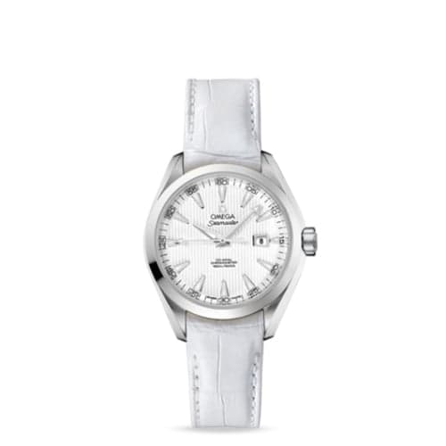 Omega Seamaster Aqua Terra 150M Co-Axial 34 Stainless Steel / Silver