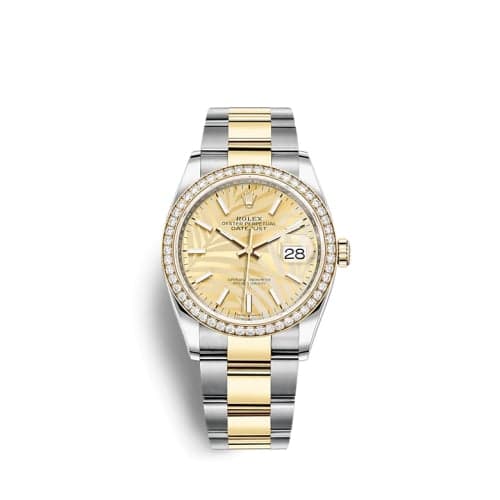 Rolex Datejust 36 Stainless Steel / Yellow Gold / Diamond / Champagne - Palm / Oyster