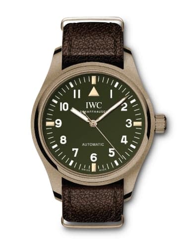 IWC Schaffhausen Pilot's Watch 36 The Rake & Revolution